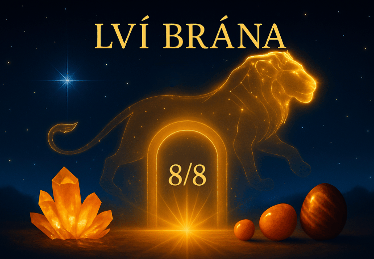 Lví brána