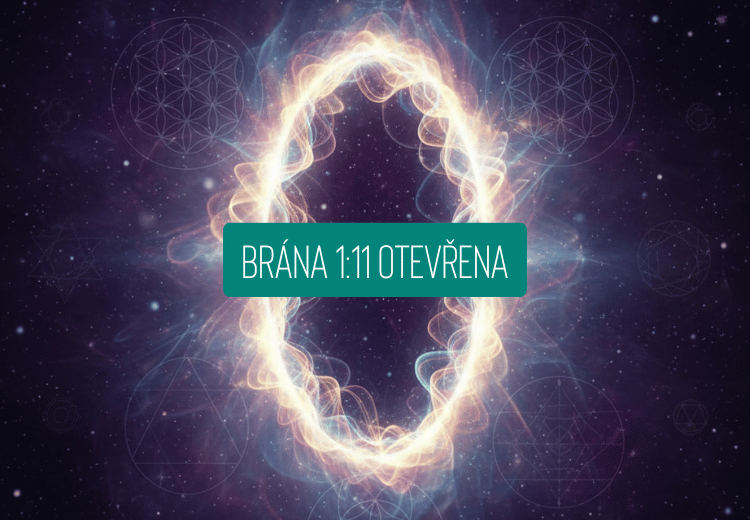 Portál 1:11